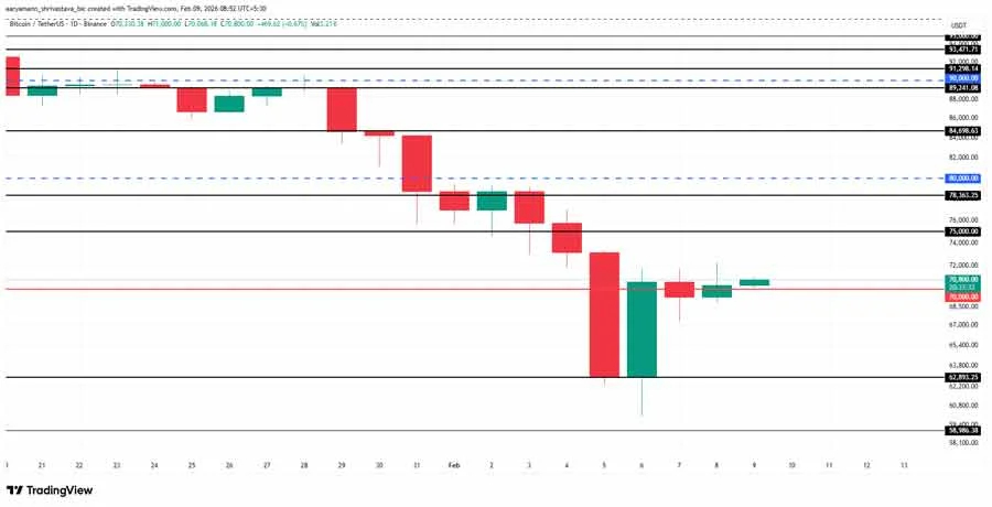 why-is-the-crypto-market-up-today-