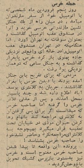 خرس2
