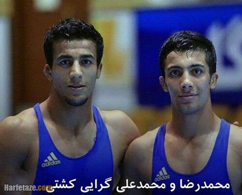 MohammadReza-Geraei-bio