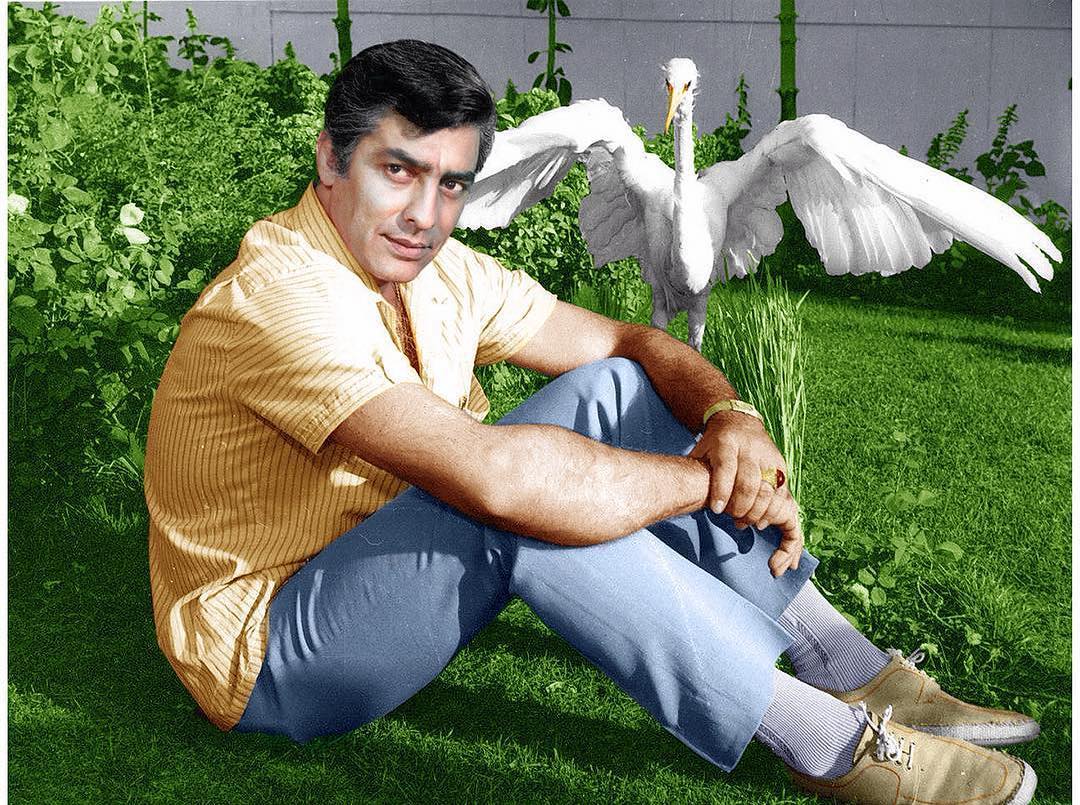 زنده یاد محمد على فردین