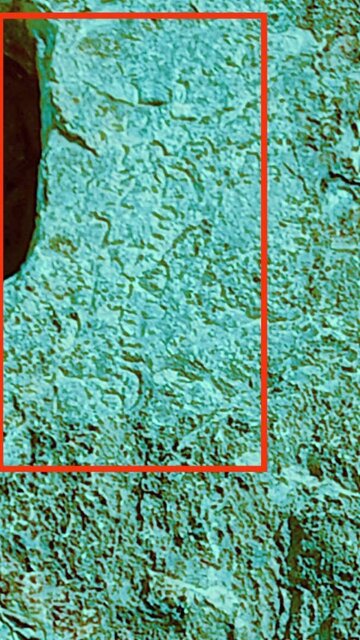 77