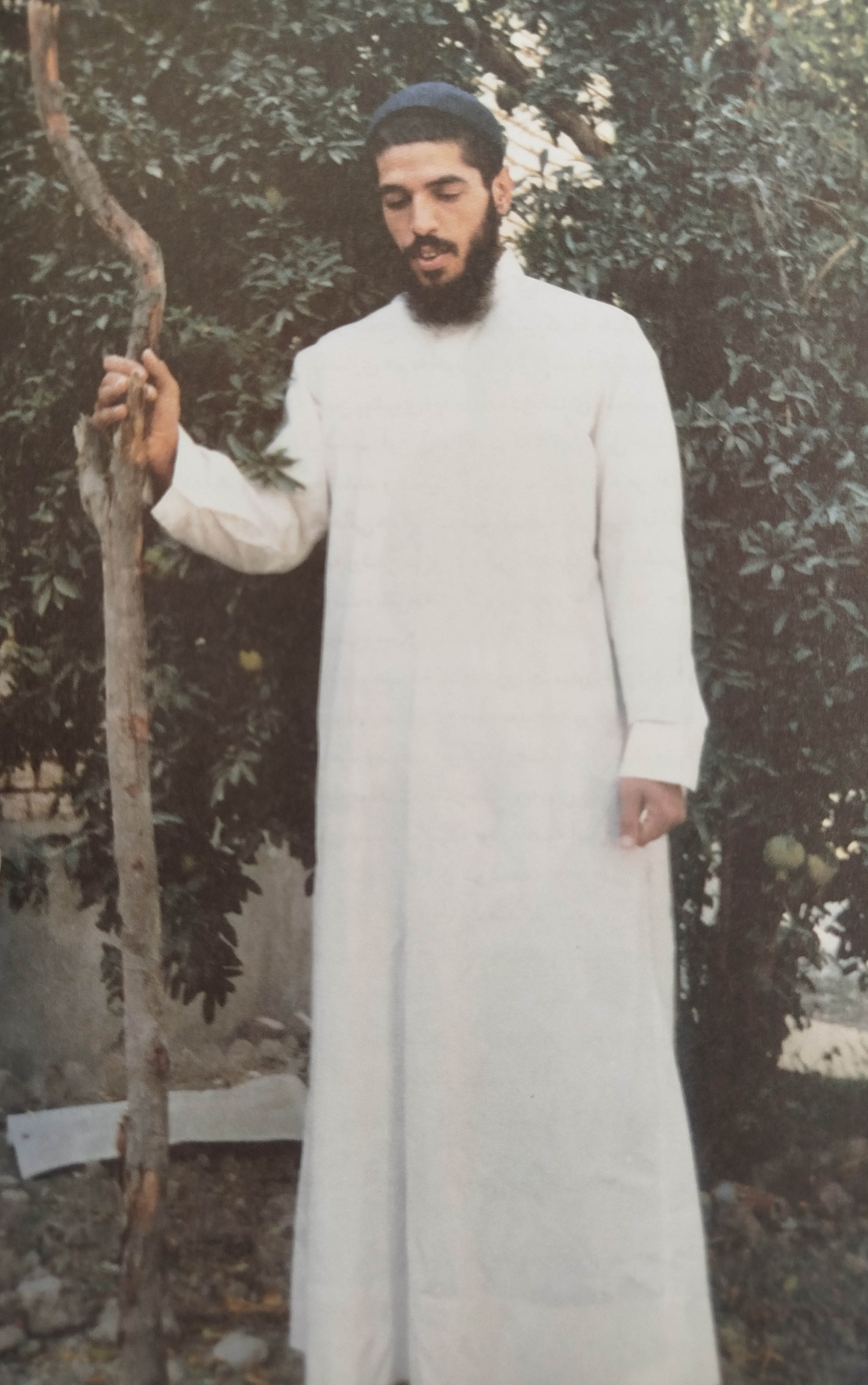 هادی (8)