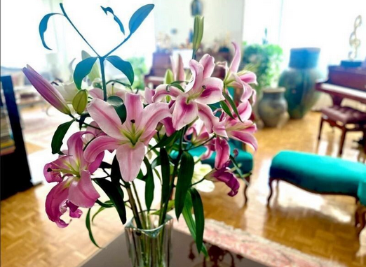 نرگس محمدی