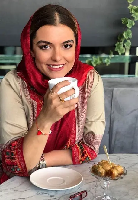 دنیا مدنی