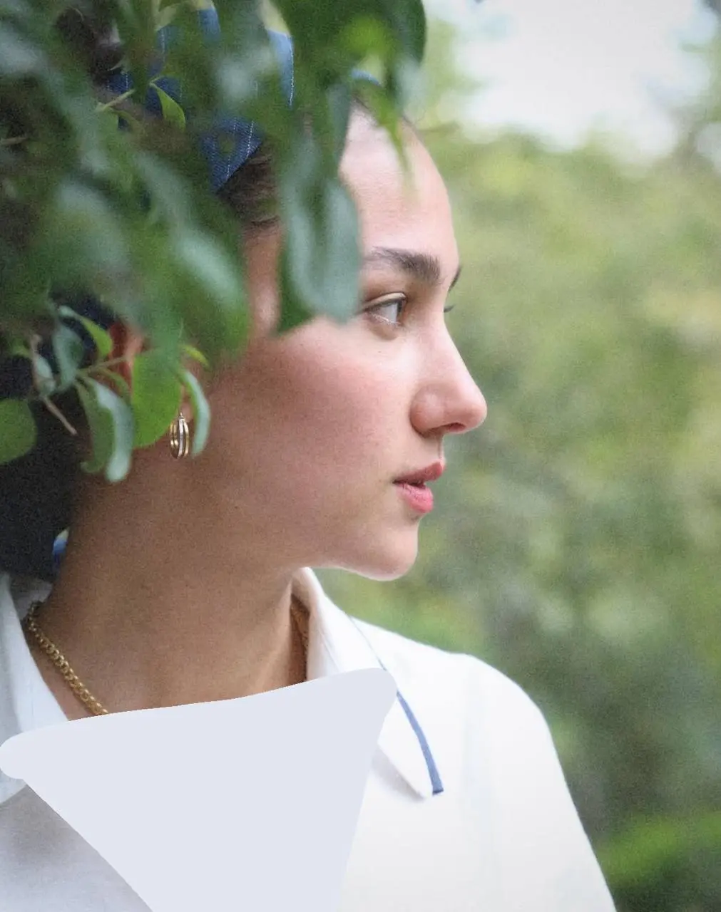 دنیز دانش