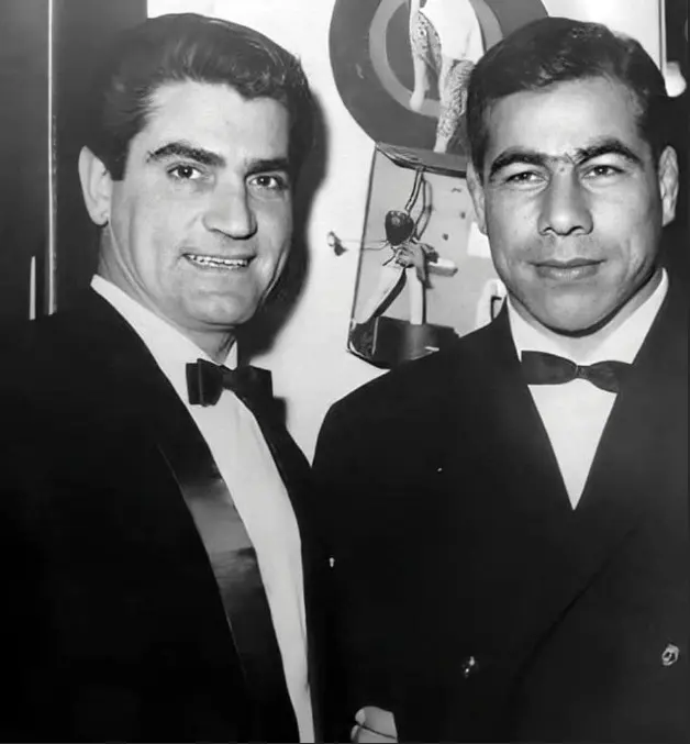 ویگن