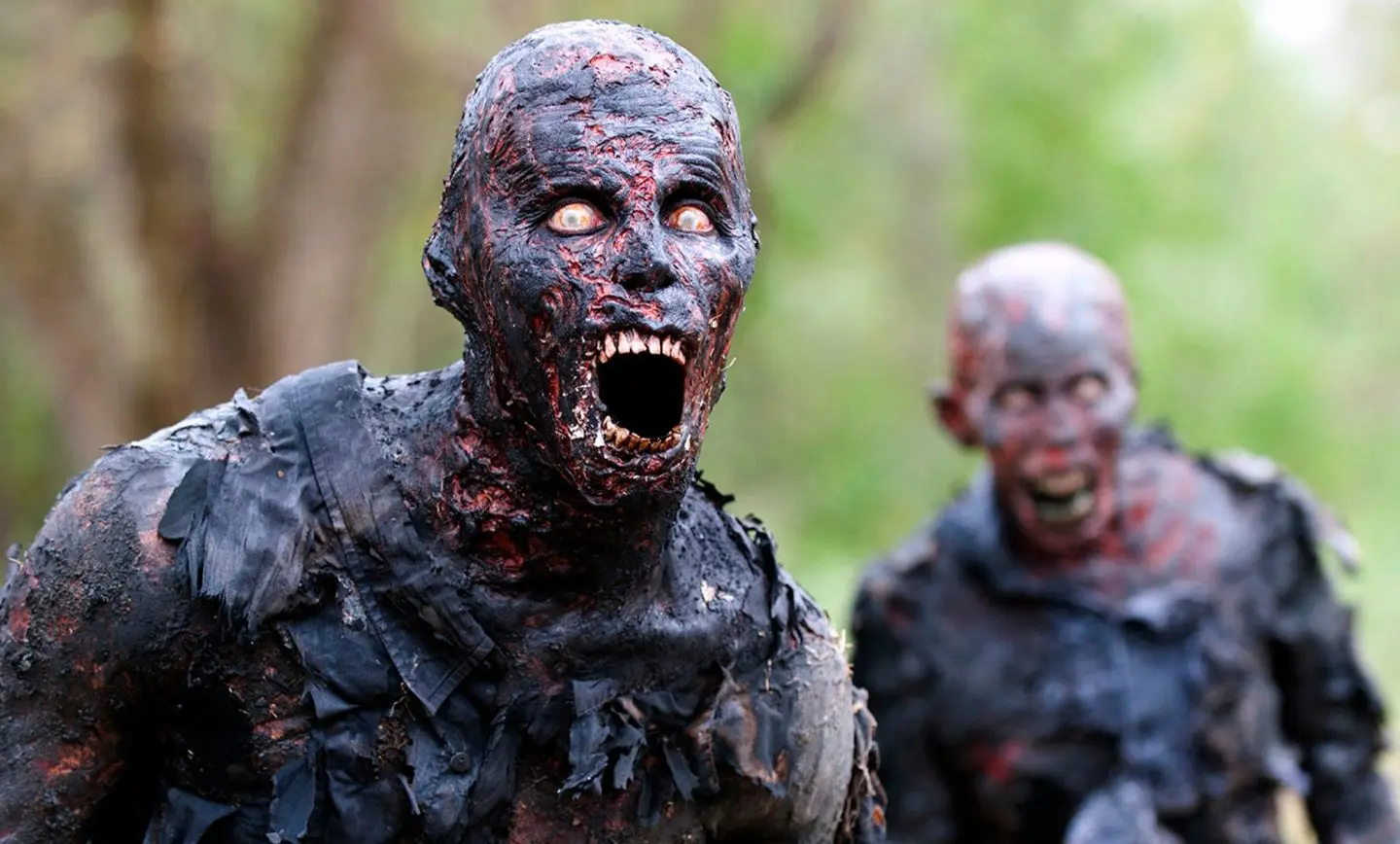 the-walking-dead