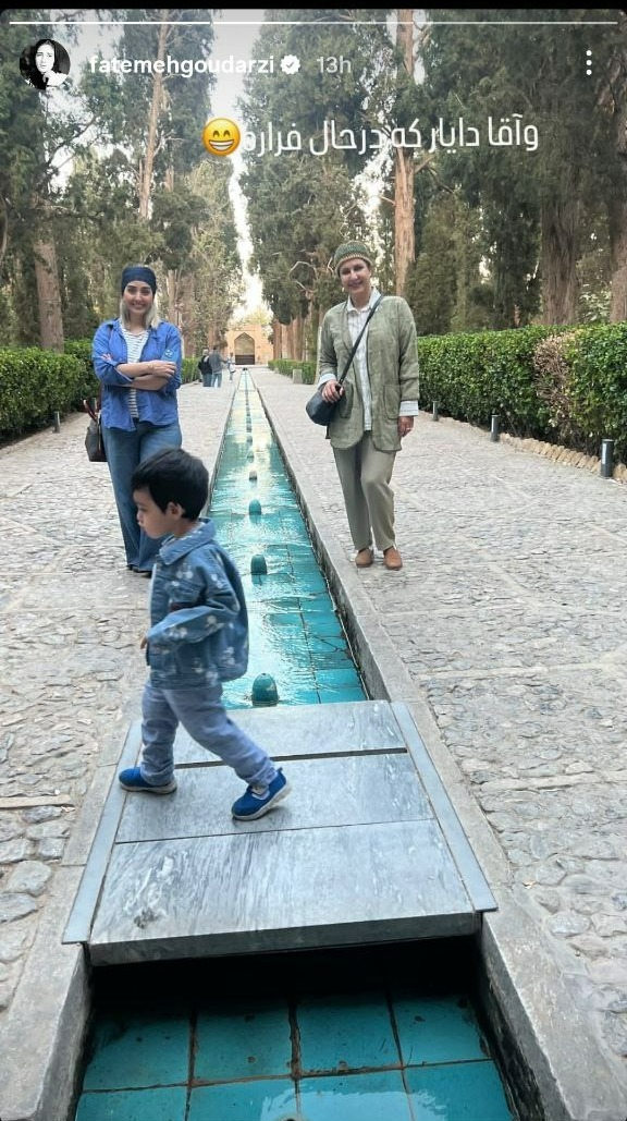 فاطمه گودرزی 