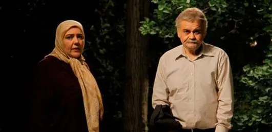 زویا امامی