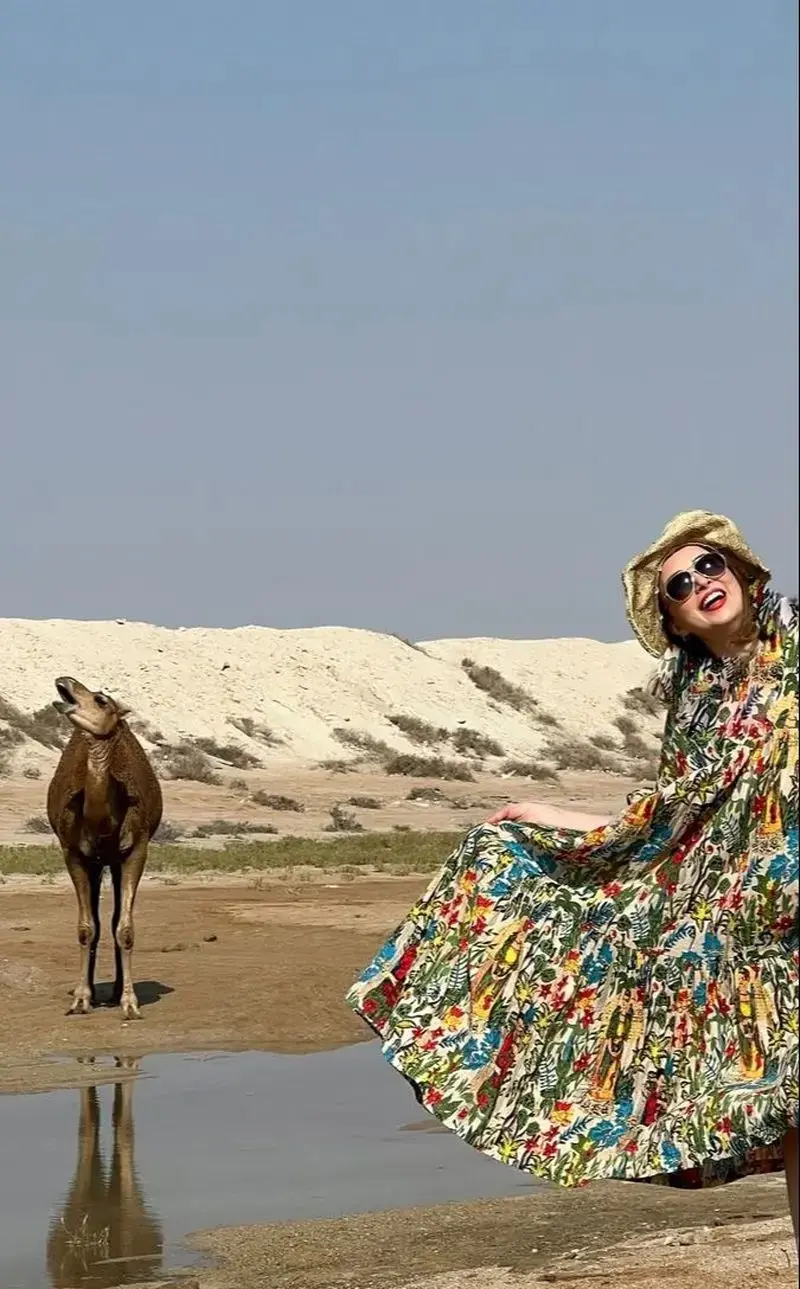 بهههه