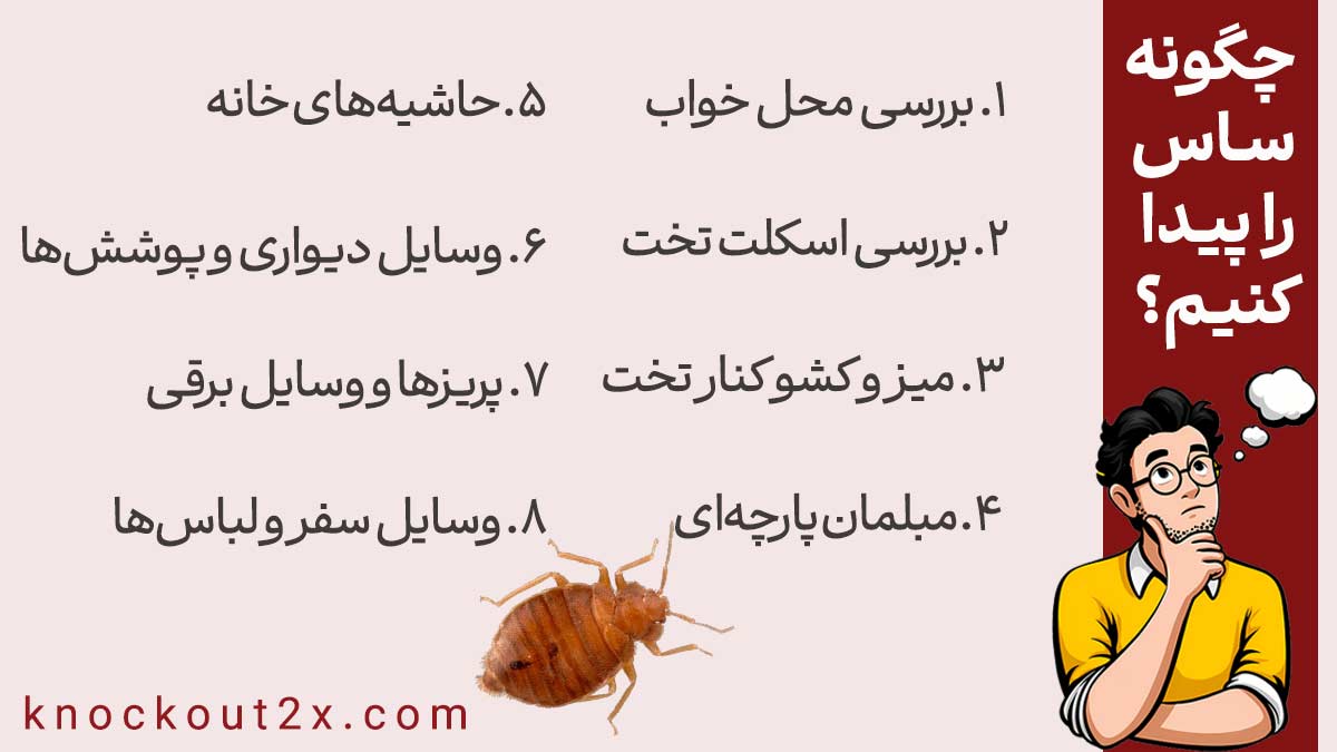 چگونه ساس را پیدا کنیم؟