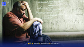 نقد و بررسی زنده‌شور تازه‌ترین ساخته کاظم دانشی 