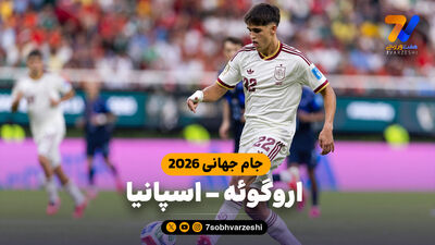 جریمه حذف از جام جهانی/ فدراسیون پرواز چارتر تیم را کنسل کرد!