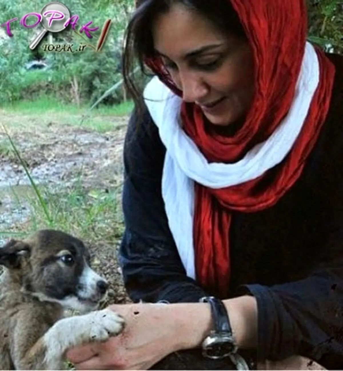 هدیه تهرانی برای حیوانات بی سرپرست؛ سرپرست پیدا می کند