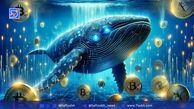 در بازار بیت‌کوین چه خبر است؟