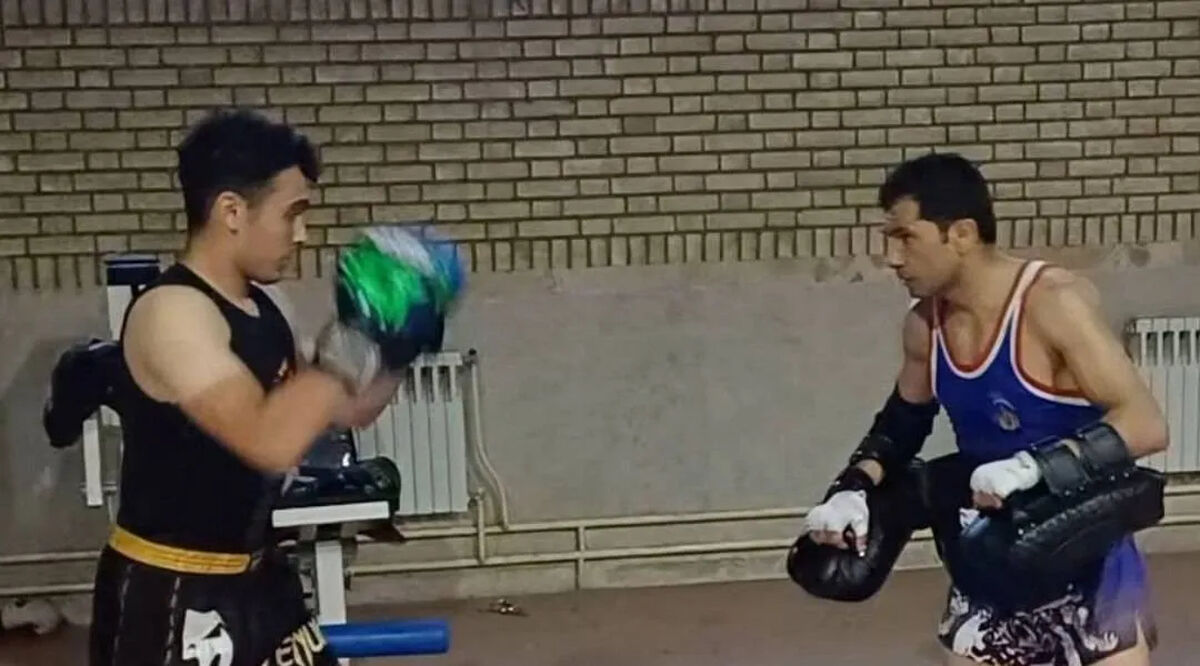شهادت موی تا کار مشکین شهری در پی حملات به کشور