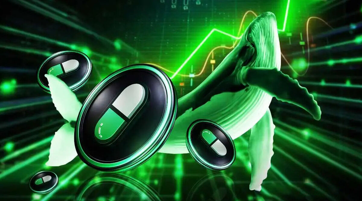 ورود نهنگ ۲۳ میلیون دلاری به پامپ.فان؛ آیا PUMP آماده پرواز است؟