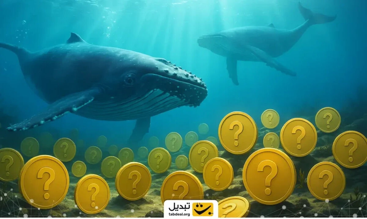 بیداری نهنگ‌های ریپل؛ آیا موج صعودی بازار در راه است؟