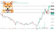 میم‌کوین‌ها در دی‌ماه چگونه بازار را تکان دادند؟ پیش‌بینی قیمت دوج، شیبا و پپه که همه را شگفت‌زده کرد!