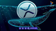 هجوم نهنگ‌ها و انباشت ۱۷۰ میلیون ریپل در کف قیمت؛ روند نزولی XRP متوقف می‌شود؟