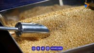 طلای جهانی در آستانه چهارمین افزایش هفتگی قیمت