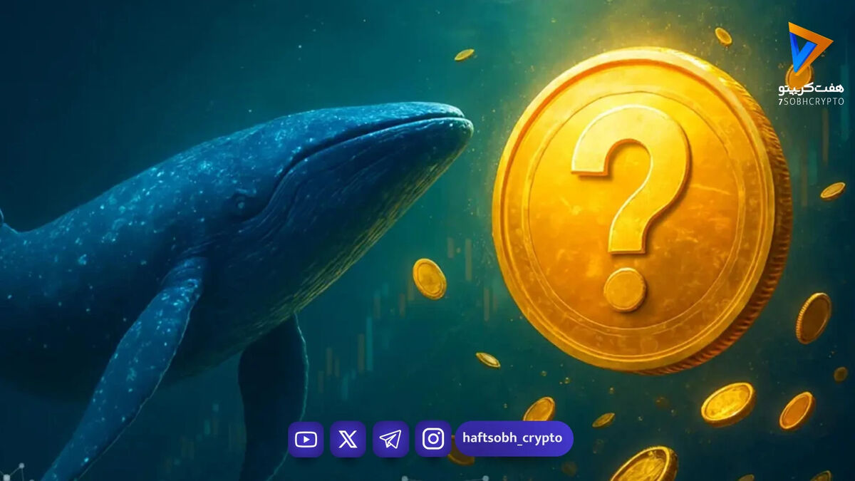 خرید سنگین نهنگ‌ها از آلت‌کوین شناخته‌شده؛ قیمت در آستانه جهش