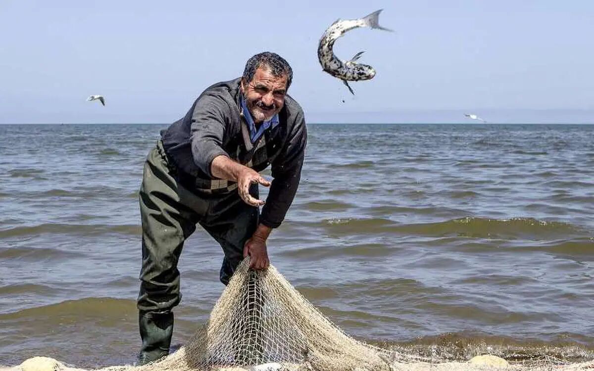 برکت در دریا با گذاشتن سکه ‌در دهان ماهی ‌