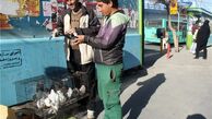 عکس| سنت آزاد کردن پرندگان از قفس در کوچه مرغی