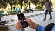 هشدار رئیس دادگستری تهران درباره فراگیر شدن همستر