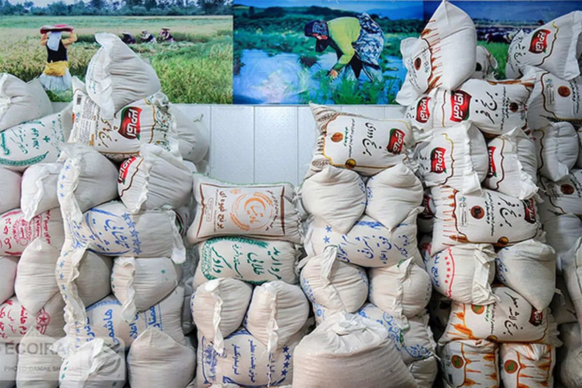 رازهای خرید برنج خوب: راهنمای کامل از زبان یک برنج فروش قدیمی