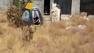 ‌چادرنشینی هنرمند سینمای دهه ۶۰  در حاشیه تهران