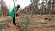 بازدید از بزرگ‌ترین نیروگاه خورشیدی تهران