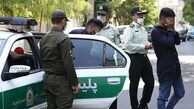 دستگیری ۲۶۶ سارق حرفه‌ای در ماه گذشته