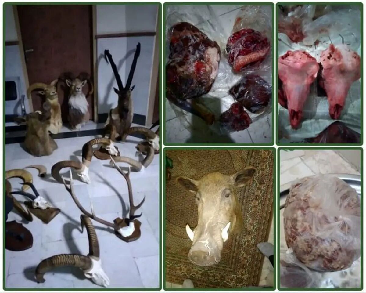 بی رحم ترین مرد سمنان دستگیر شد