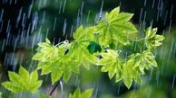 برف و سرما در راه شمال کشور