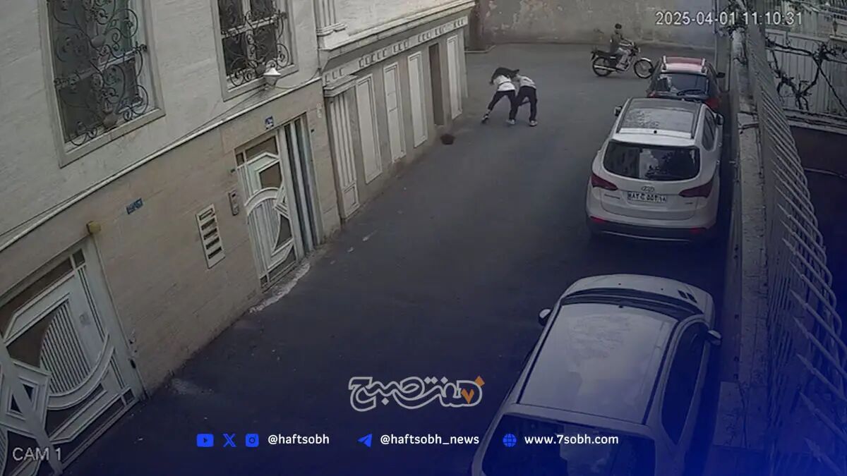 موبایل قاپ قیطریه دستگیر شد.