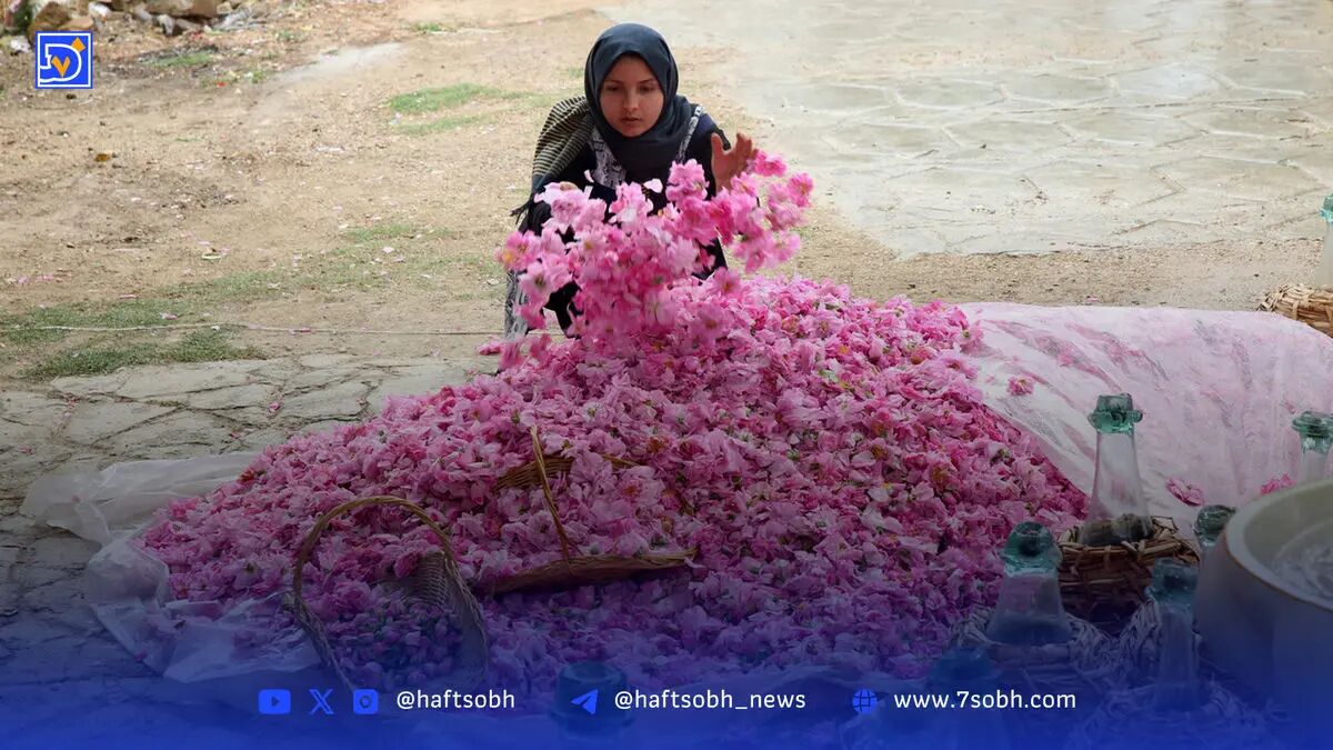 فَرُخَد؛ کاشان کوچک در دل خراسان