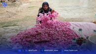 فَرُخَد؛ کاشان کوچک در دل خراسان