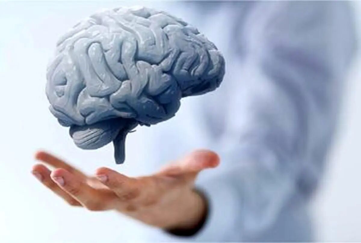آیا مغز شما به توجه نیاز دارد؟