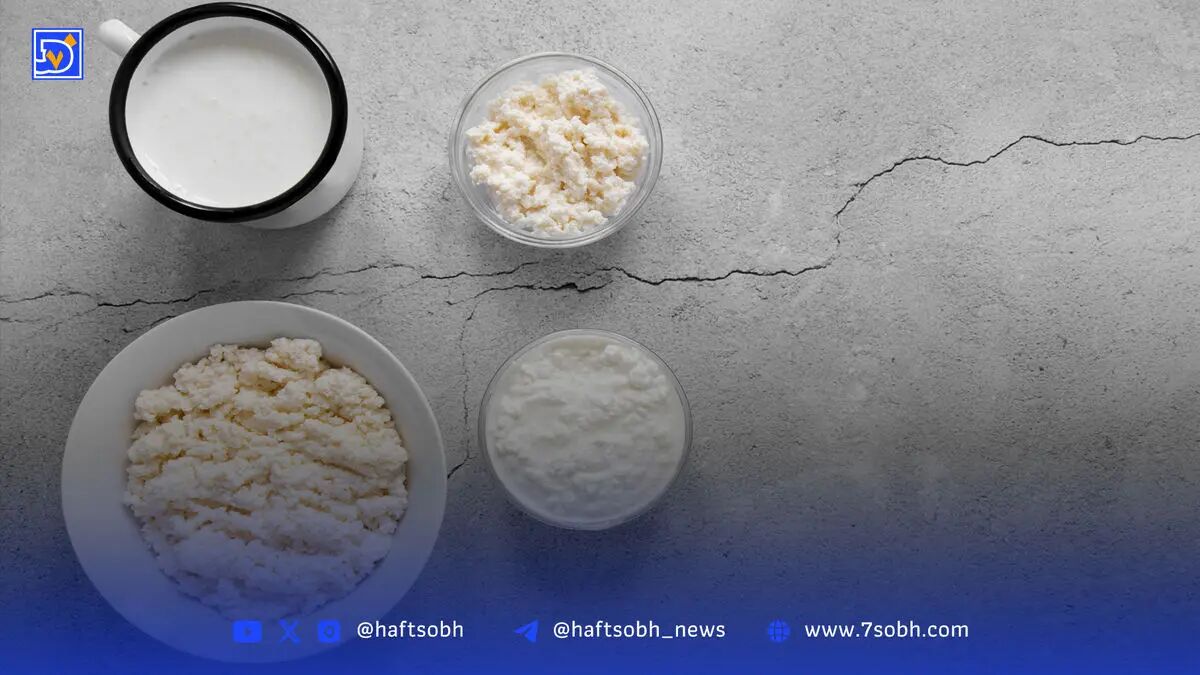صادرات  شیر خشک زیر سایه ارز دولتی
