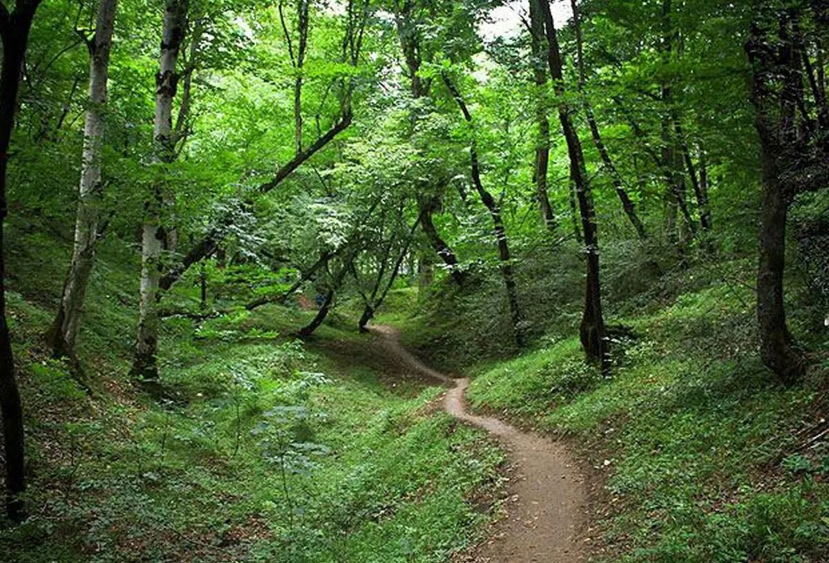 افزایش دمای تدریجی در مازندران تا اوایل هفته آینده