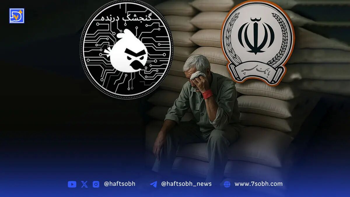 حمله گنجشک درنده به کیسه‌های آرد!