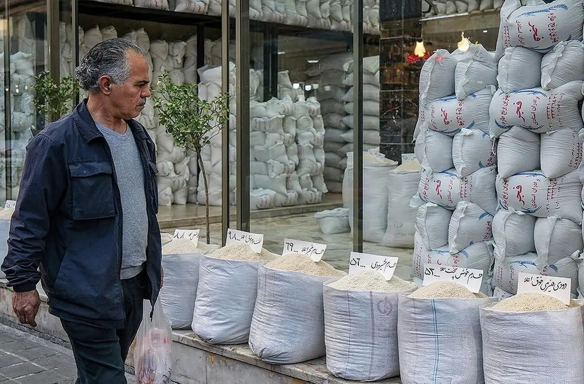 قیمت برنج با عرضه محصول جدید و واردات کاهش می‌یابد؟