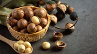 ماکادمیا چیست؟ خواص آن برای پوست و مو؛ یک روغن طبیعی بی‌رقیب