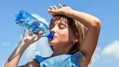 چرا زنبورها تابستان امسال ناپدید شدند؟