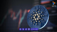 سقوط هفتگی ۱۰ درصدی کاردانو؛ یک شاخص مهم سیگنال خرید داد