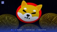 تحلیل قیمت شیبا اینو (۲۹ مرداد ۱۴۰۴): افت شدید نرخ سوزاندن و نبرد بر سر حمایت کلیدی