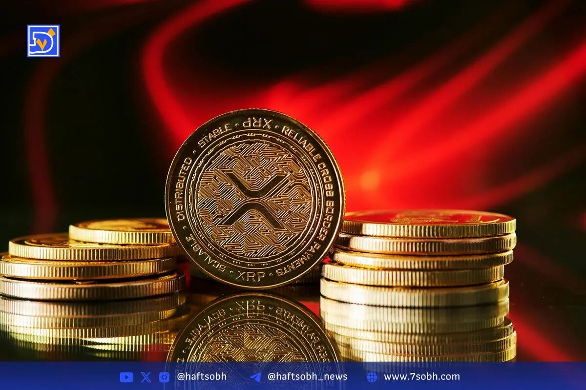 تحلیل سقوط قیمت XRP و افزایش خرید نهنگ‌ها در بازار رمزارز