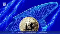 فعالیت بی‌سابقه نهنگ‌های بیت‌کوین و تأثیر توسعه‌ها و قوانین در 2025