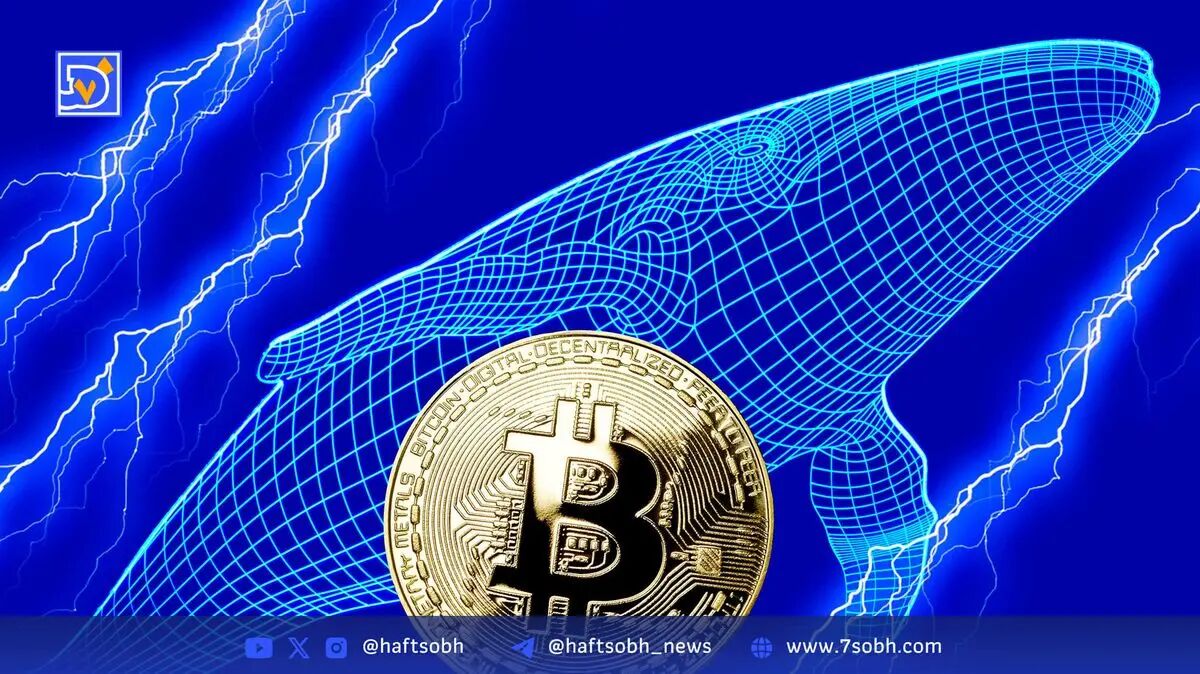 فعالیت بی‌سابقه نهنگ‌های بیت‌کوین و تأثیر توسعه‌ها و قوانین در 2025